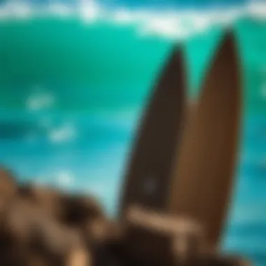 Magnificent Almond Surfboards: An In-Depth Exploration of Offerings and Insights