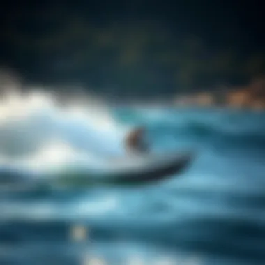 Magnificent An In-Depth Look at the Leading Wakesurf Brands Magnificent An In-Depth Look at the Leading Wakesurf Brands