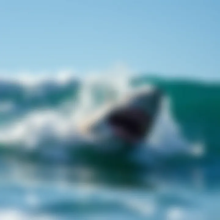 Magnificent Does Shark Repellent Work? An In-Depth Examination