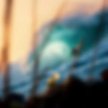 Magnificent Exploring Barra Mexico: A Prime Surf Destination