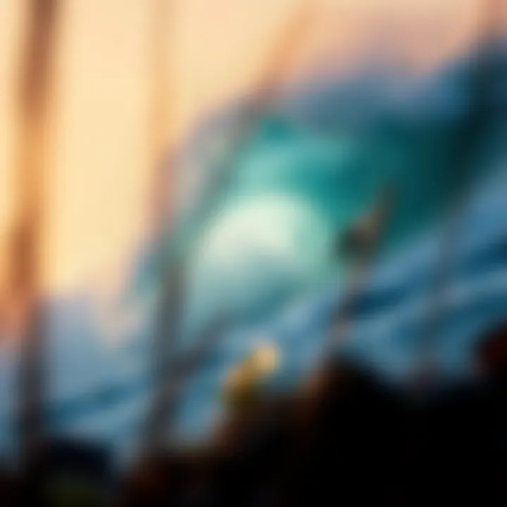 Magnificent Exploring Barra Mexico: A Prime Surf Destination