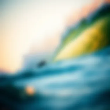 Magnificent Exploring the Depths of Baja Surfing: A Comprehensive Guide Magnificent Exploring the Depths of Baja Surfing: A Comprehensive Guide