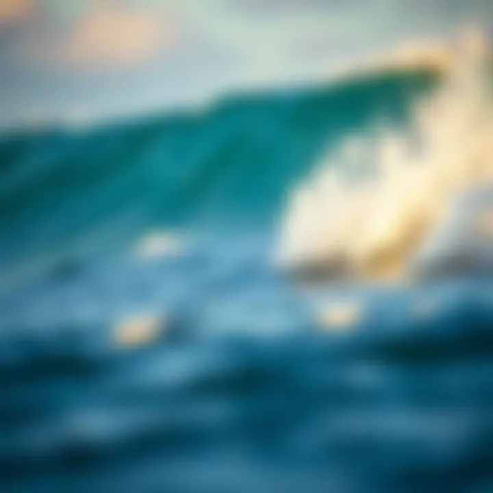 Magnificent Exploring the Diverse Types of SUP Boards
