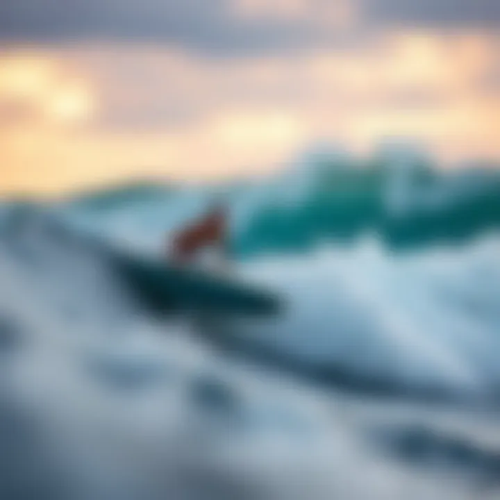 Magnificent Exploring the Dynamics of Body Surf Handplanes