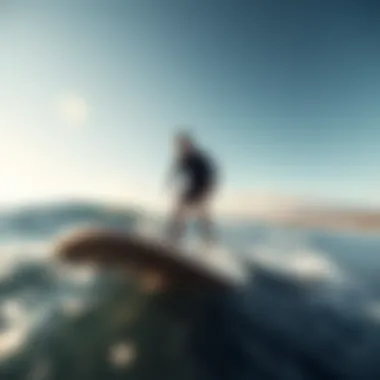 Magnificent Exploring the Varied Landscape of Longboards