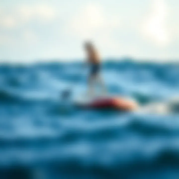 Magnificent Exploring the Various Types of Stand-Up Paddleboards Magnificent Exploring the Various Types of Stand-Up Paddleboards