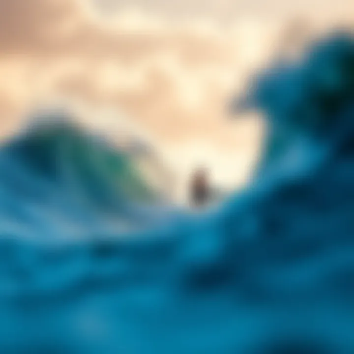 Magnificent Exploring the Waves: Surfing the North Shore of Maui Magnificent Exploring the Waves: Surfing the North Shore of Maui