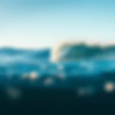 Magnificent Exploring Water Extreme Sports: A Deep Dive into Thrilling Adventures Magnificent Exploring Water Extreme Sports: A Deep Dive into Thrilling Adventures