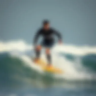 Magnificent The Art and Technique of Stand Up Bodyboarding