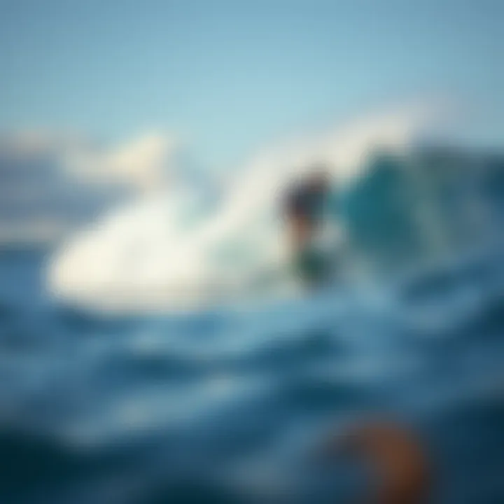 Magnificent The Journey of Plastic: From Land to Ocean