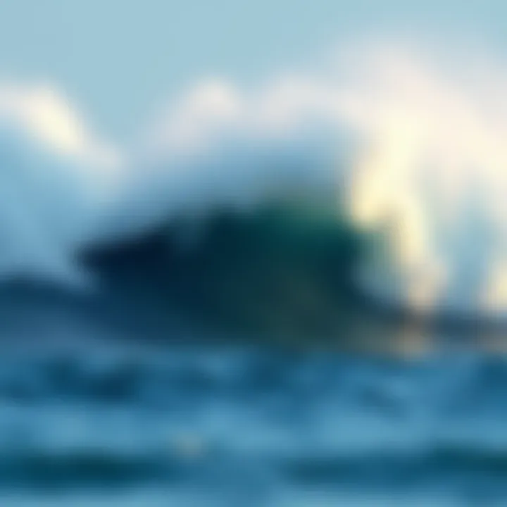 Magnificent Understanding Wind Direction and Its Impact on Surfing Magnificent Understanding Wind Direction and Its Impact on Surfing