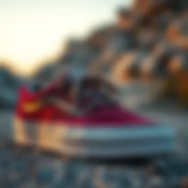 Magnificent Vans Skating Shoes: A Detailed Exploration Magnificent Vans Skating Shoes: A Detailed Exploration