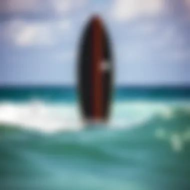 Notable A Comprehensive Exploration of Zap Ace Skimboards Notable A Comprehensive Exploration of Zap Ace Skimboards