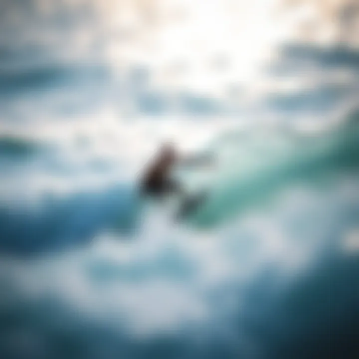 A Comprehensive Guide to Skimboarding for Beginners Summary