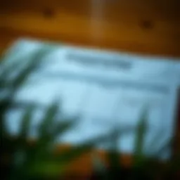 Personalized fitness plan layout