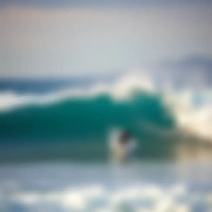 Notable Adult Surf Lessons in San Diego: An In-Depth Exploration