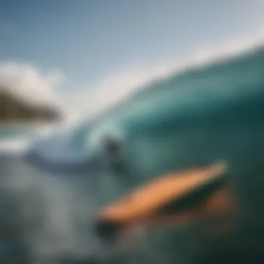 An In-Depth Exploration of T2 Swim Fins for Surfboarding Introduction An In-Depth Exploration of T2 Swim Fins for Surfboarding Introduction