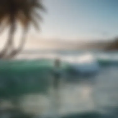 Paddle Boarders Enjoying the Ocean Waves A serene beach with paddle boarders enjoying the waves