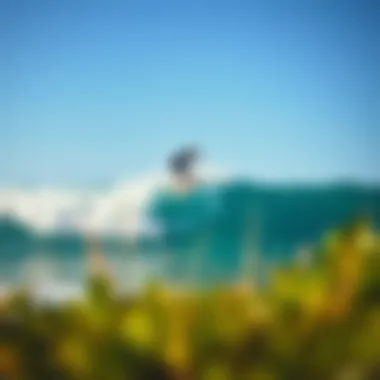 Best Skateboard for Surfing: A Comprehensive Guide Summary Best Skateboard for Surfing: A Comprehensive Guide Summary