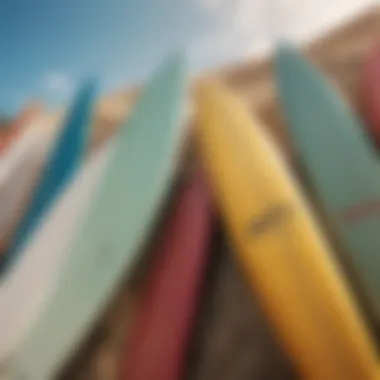 A variety of surfboard materials displayed on a sunny day