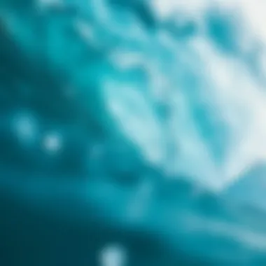 Understanding Seasonal Pricing Seasonal pricing chart for BSR Surf Resort