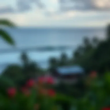 Scenic view of Bunger Surf Camp surrounded by nature