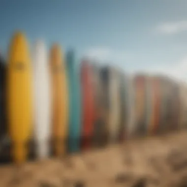 Diverse surfboards lined up on the beach, showcasing variety