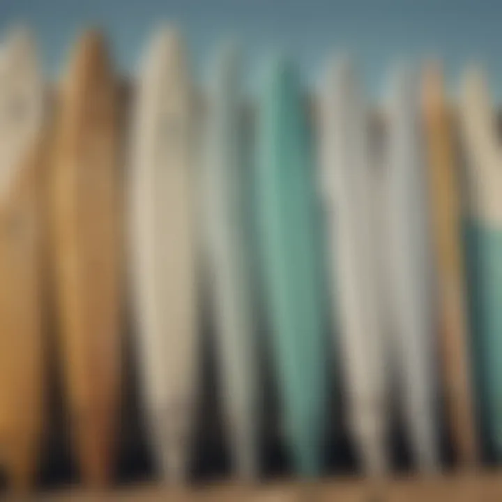 Various surfboard types displayed creatively.