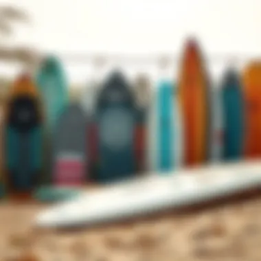 Diverse Collection of Zap Skin Boards An outdoor scene showing a collection of zap skin boards of various designs and colors.