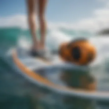 Diverse Electric Motor Options for Paddleboards Comparison of different electric motors for paddleboards