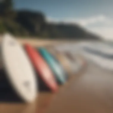 A serene beach scene with surfboards lined up