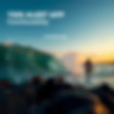 Graph comparing tide alert app functionalities