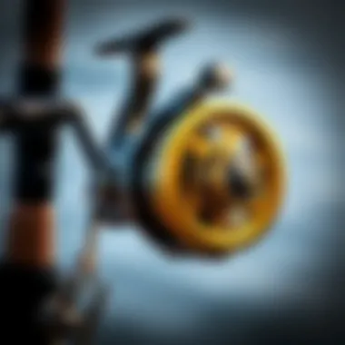 Shimano reel demonstrating its features and components