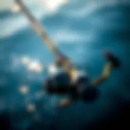 Shimano surf rod showcasing its design and build