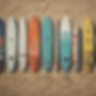 Different leash types displayed on a surfboard