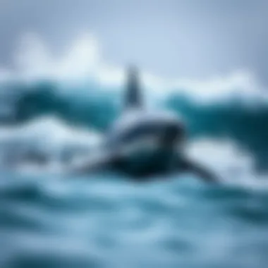 Does Shark Repellent Work? An In-Depth Examination Introduction Does Shark Repellent Work? An In-Depth Examination Introduction