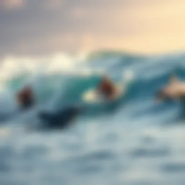 Surfers enjoying the ocean waves with dolphins nearby