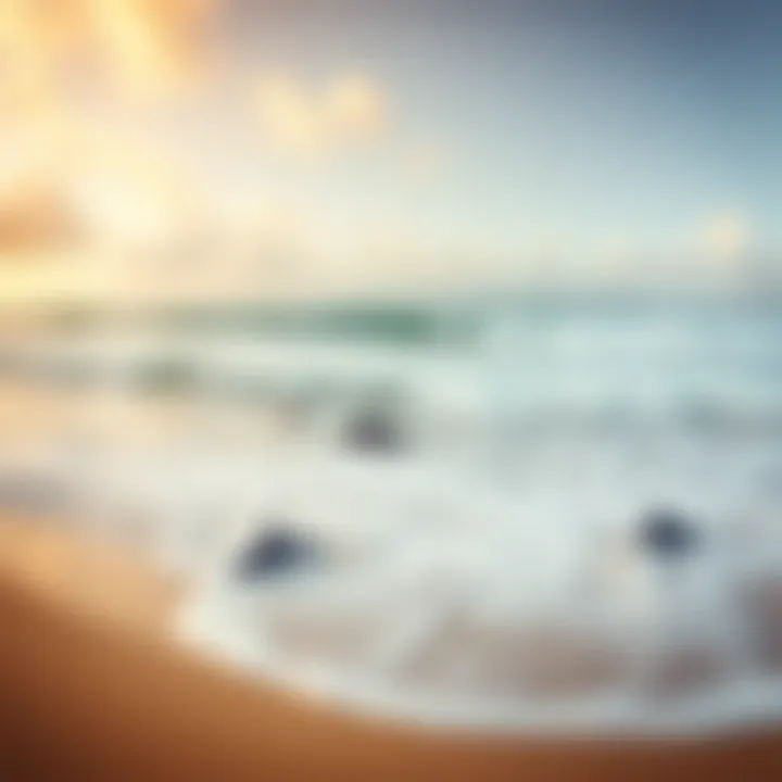 A panoramic view of a serene beach with dolphins in the surf