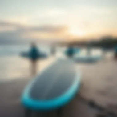 A scenic beach with surfers and electric surfboards