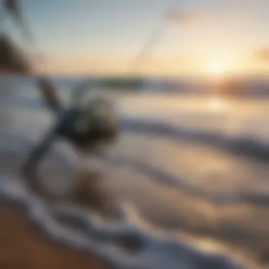 Surf fishing rod with a beautiful shoreline in the background