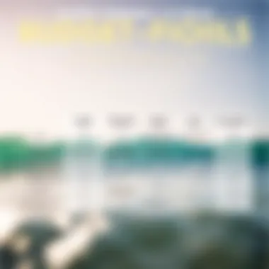 Comparison chart of budget-friendly e-foils with features