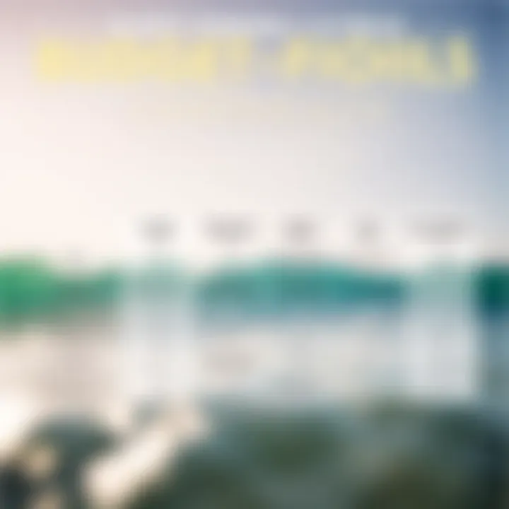 Comparison chart of budget-friendly e-foils with features