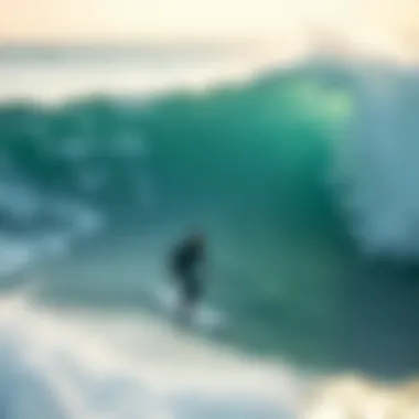 Sustainable Materials in Wetsuit Manufacturing Eco-friendly materials for wetsuit production