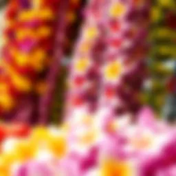 A vibrant array of Hawaiian leis showcasing various flowers
