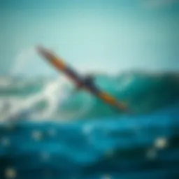 Dynamic wings in the ocean breeze