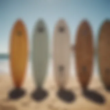 Diverse Selection of Exile Skimboards Various Exile skimboards displayed on a sandy beach