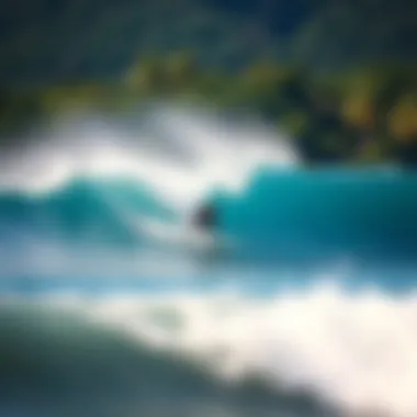 Thrill of the Wave at La Lancha Surfer riding a wave at La Lancha with lush greenery in the background