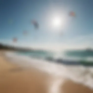 Group of kitesurfers enjoying a sunny day at the beach