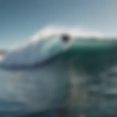 Surfer riding a wave at a popular surf spot