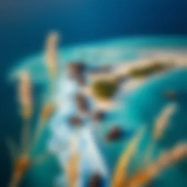 Aerial view of Pasta Point showcasing its pristine waters and surf breaks